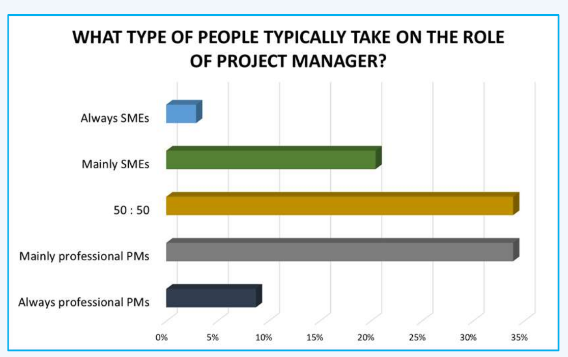 types of project managers
